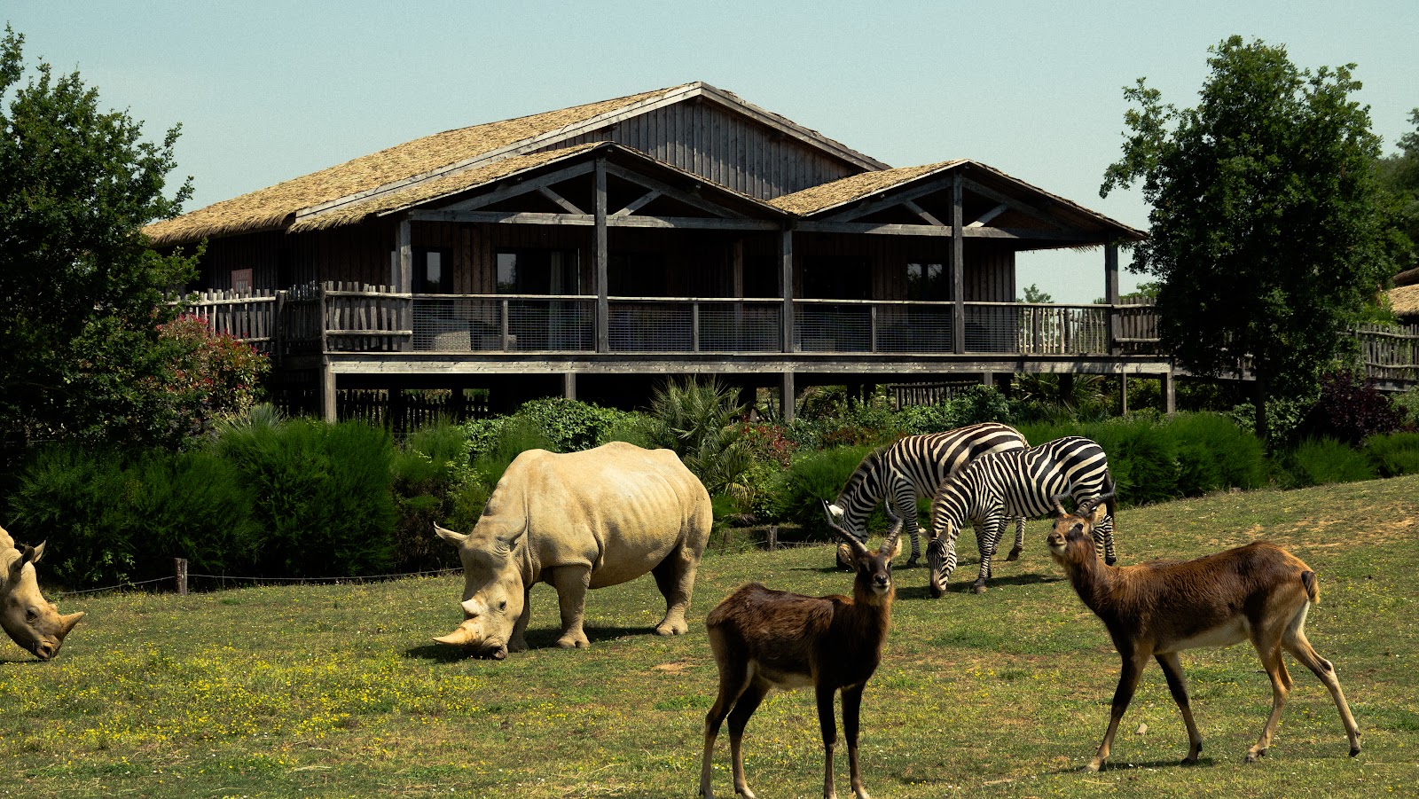 Africa Lodges