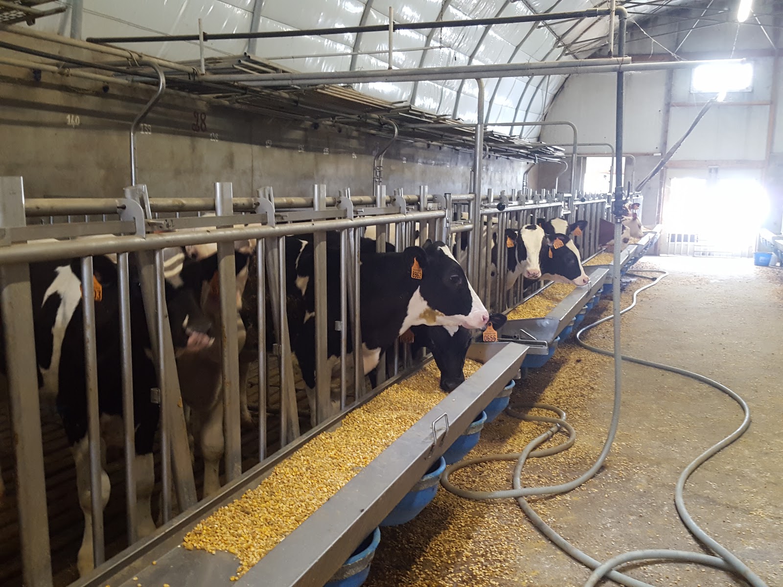Agrikids