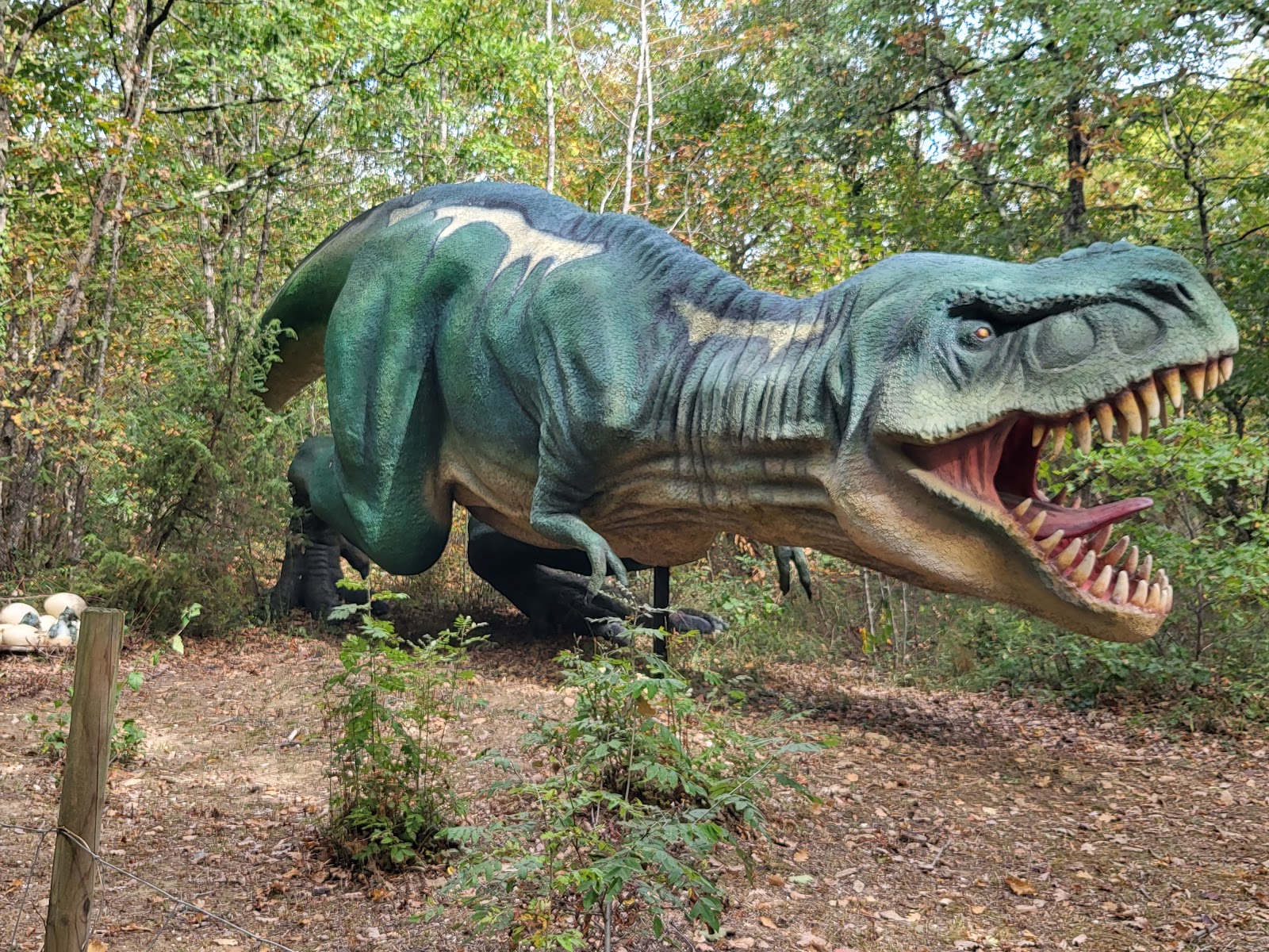 AnimaParc® Occitanie