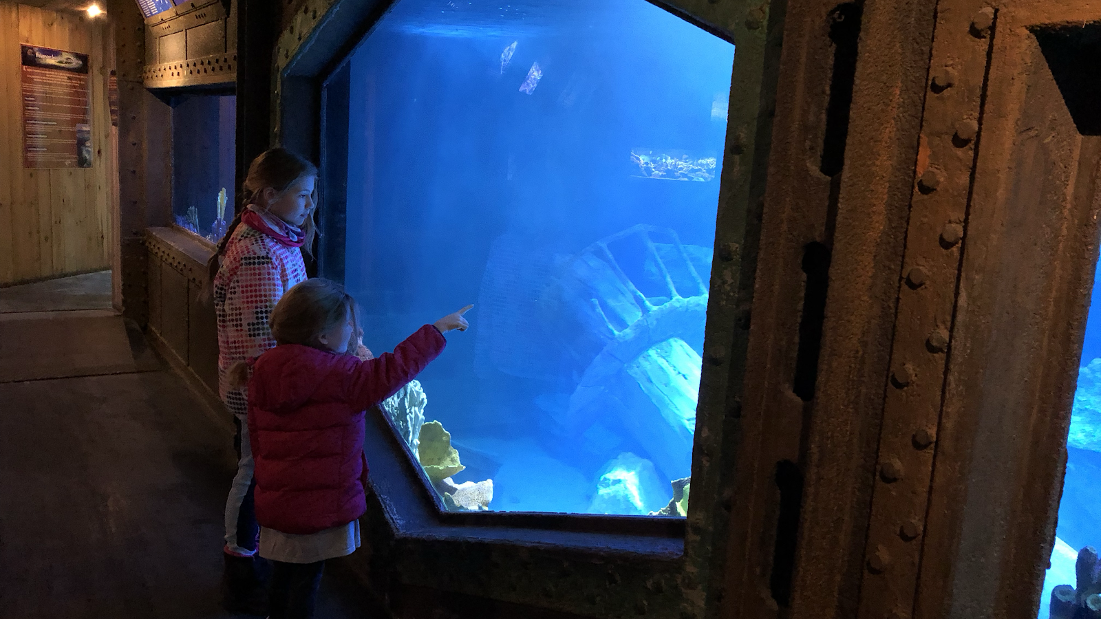 Aquarium d'Amnéville