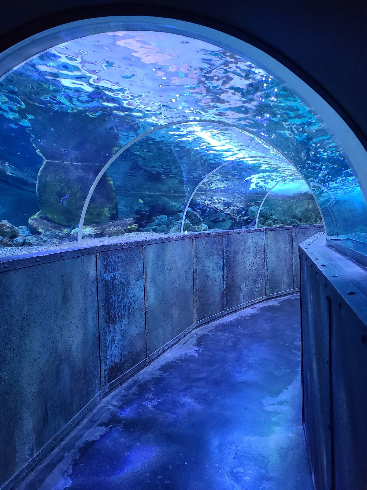 Aquarium de Touraine