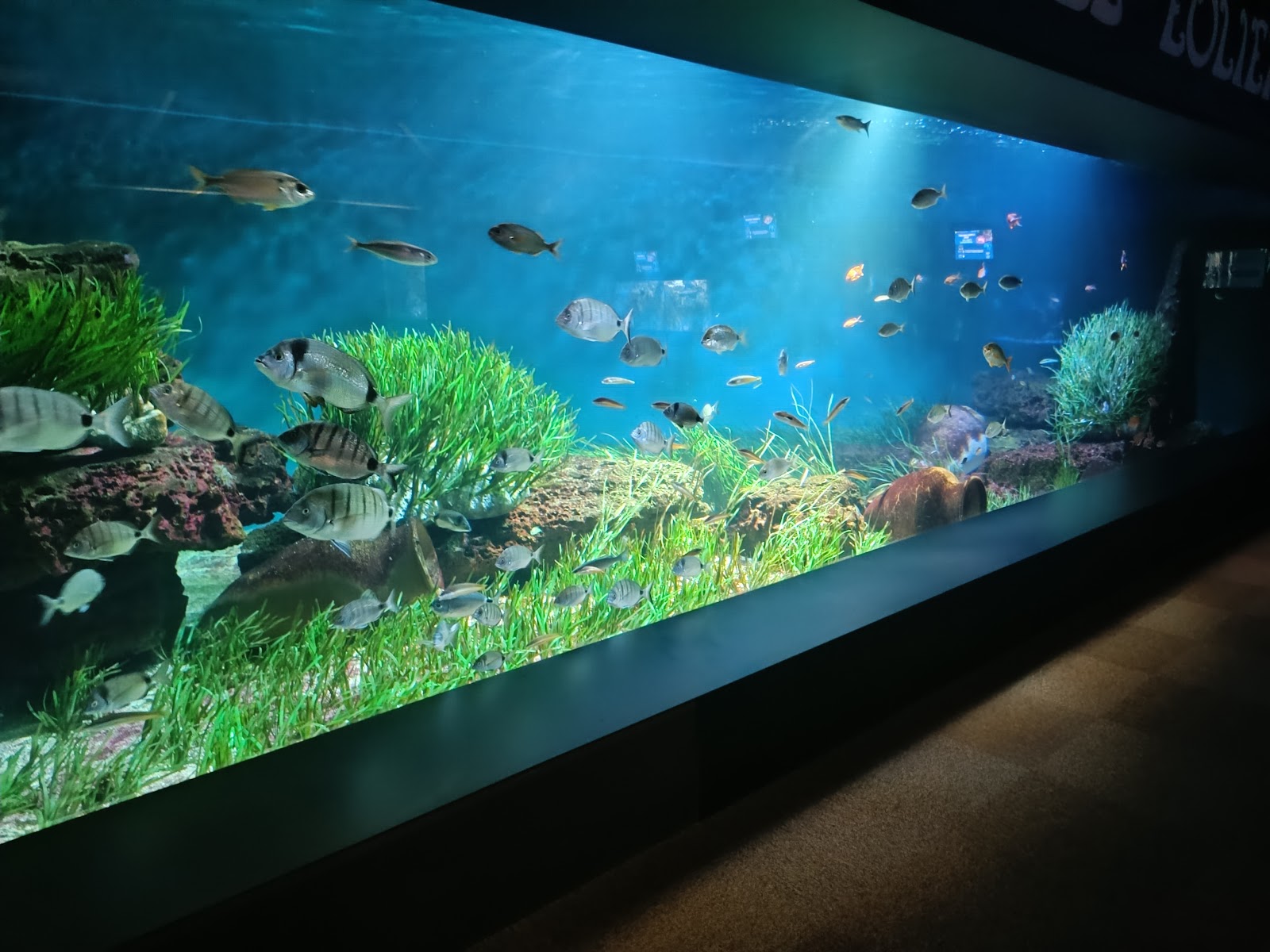 Aquarium de Vendée