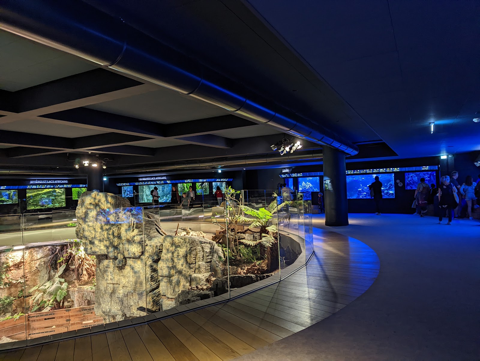 Aquarium tropical