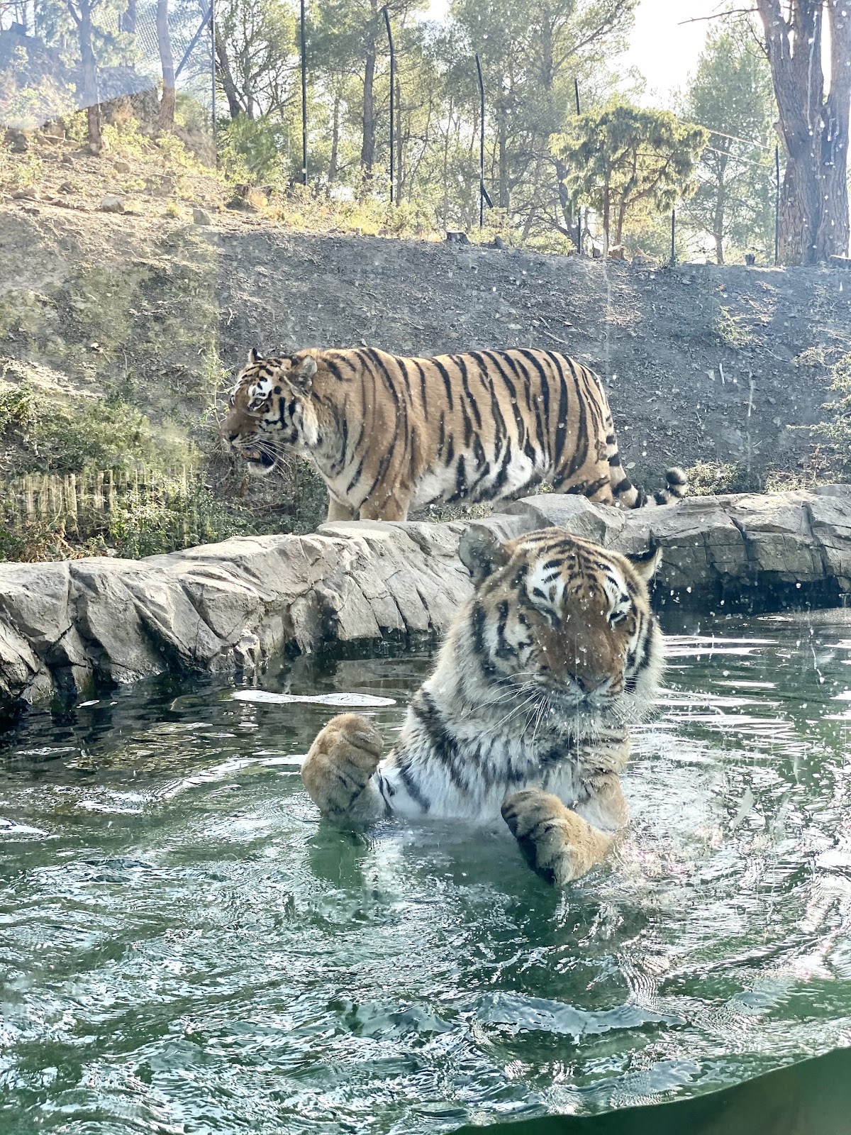 EcoZonia - Parc Animalier