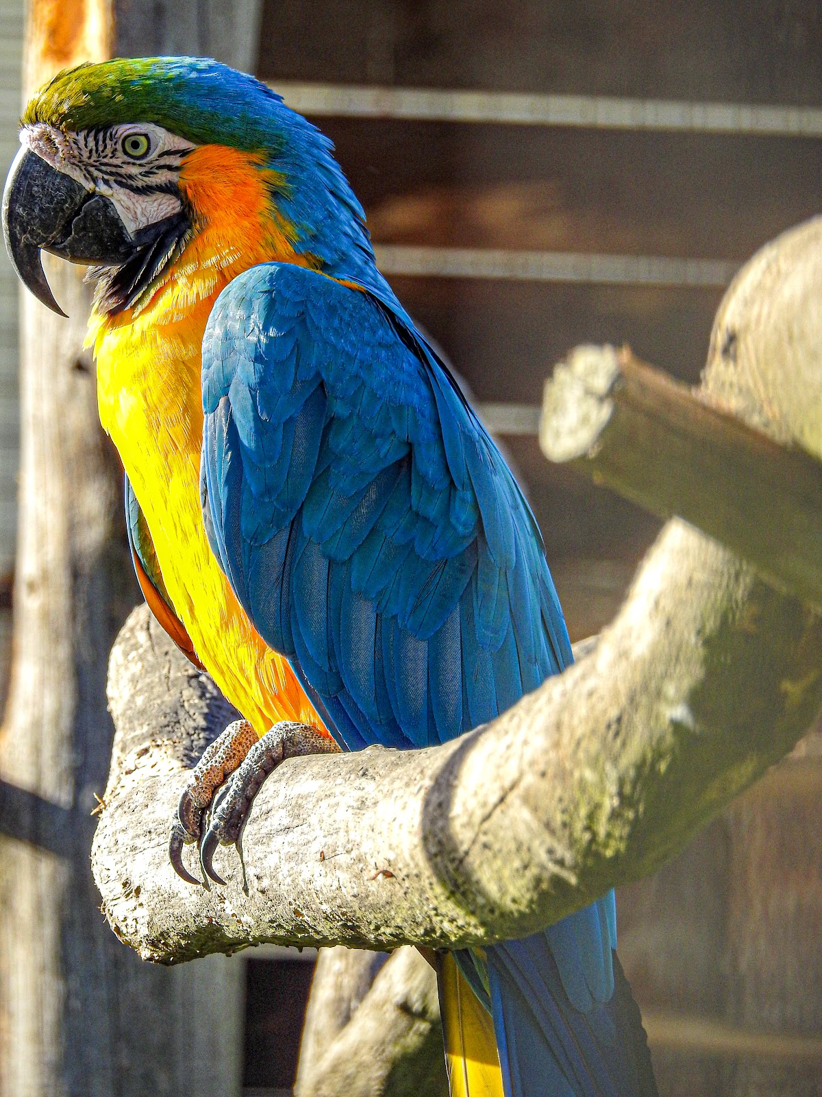 Exotic Park, zoo de Lescar