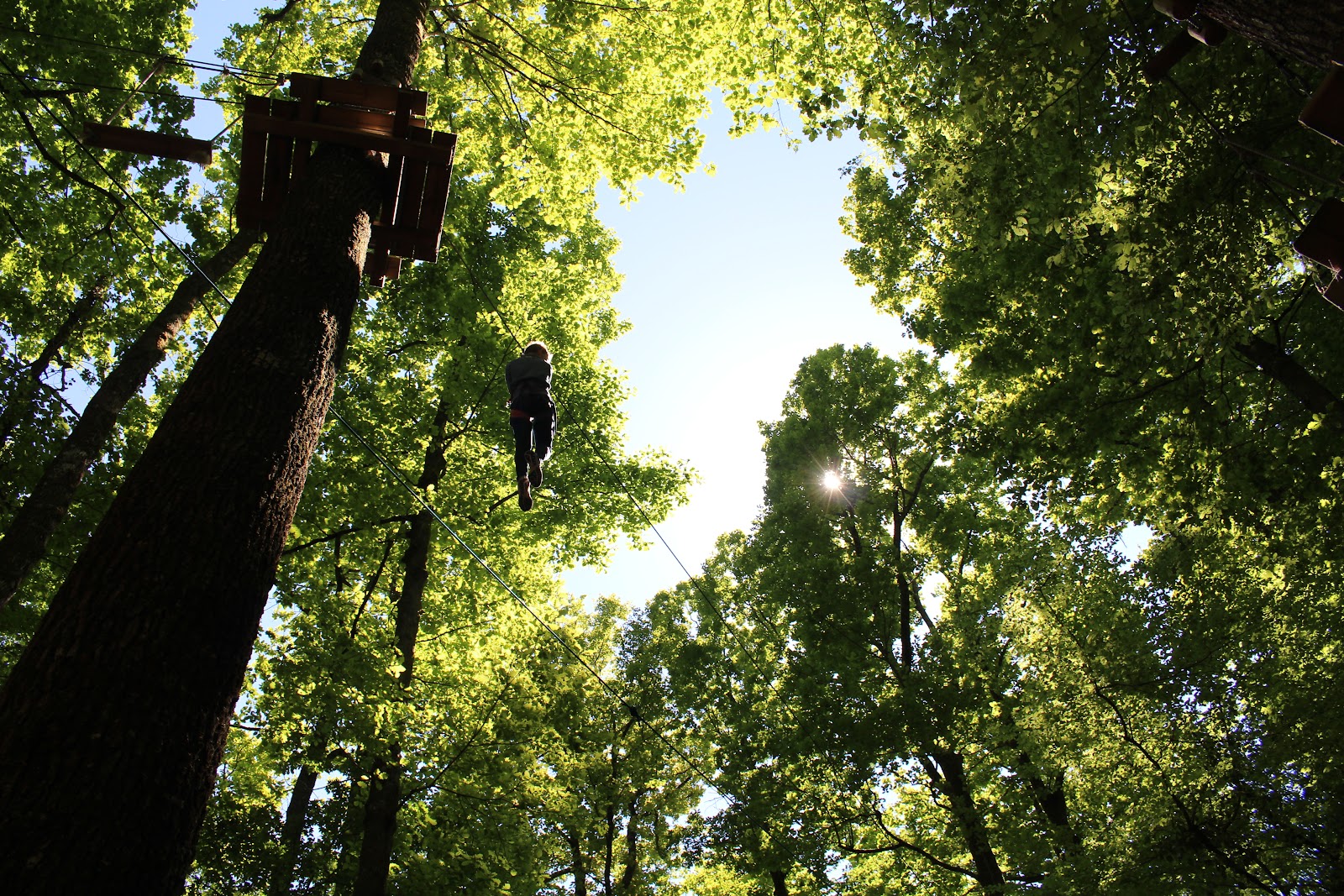 Fontdouce - Parc Aventure et Team Building