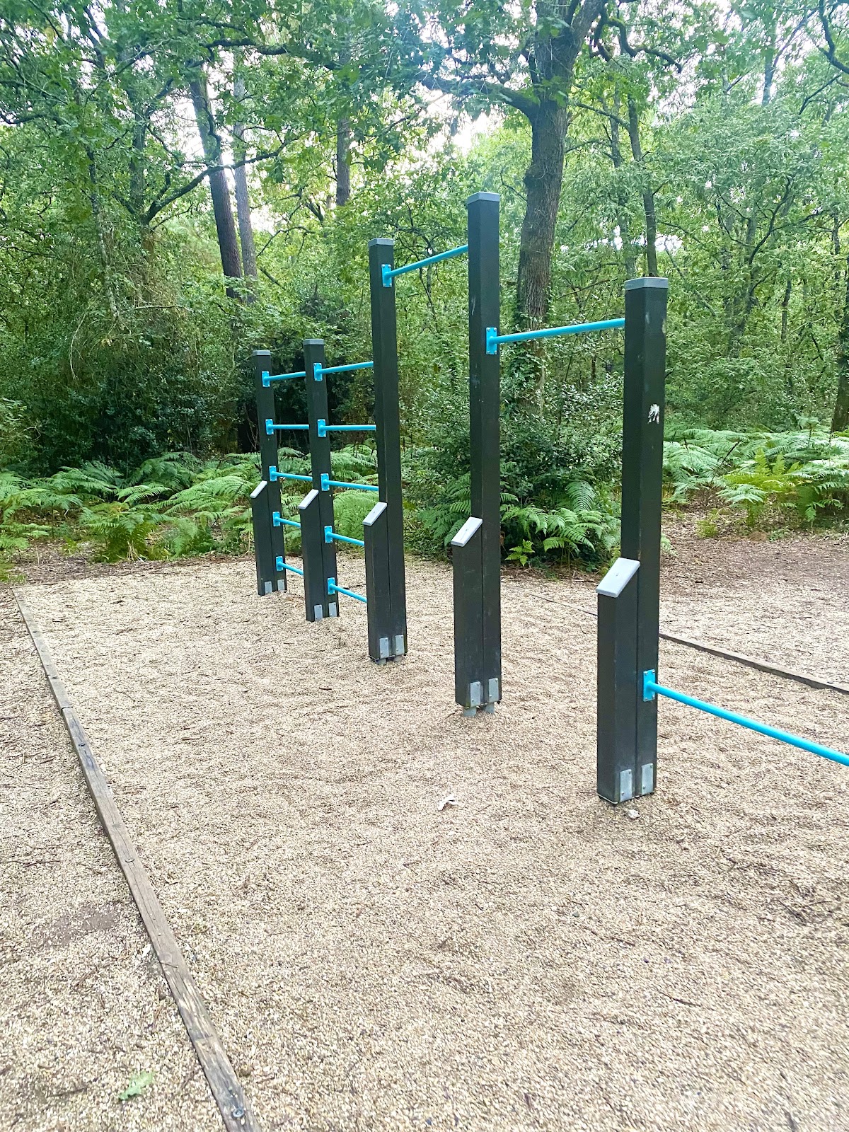 Forêt du Bourgailh