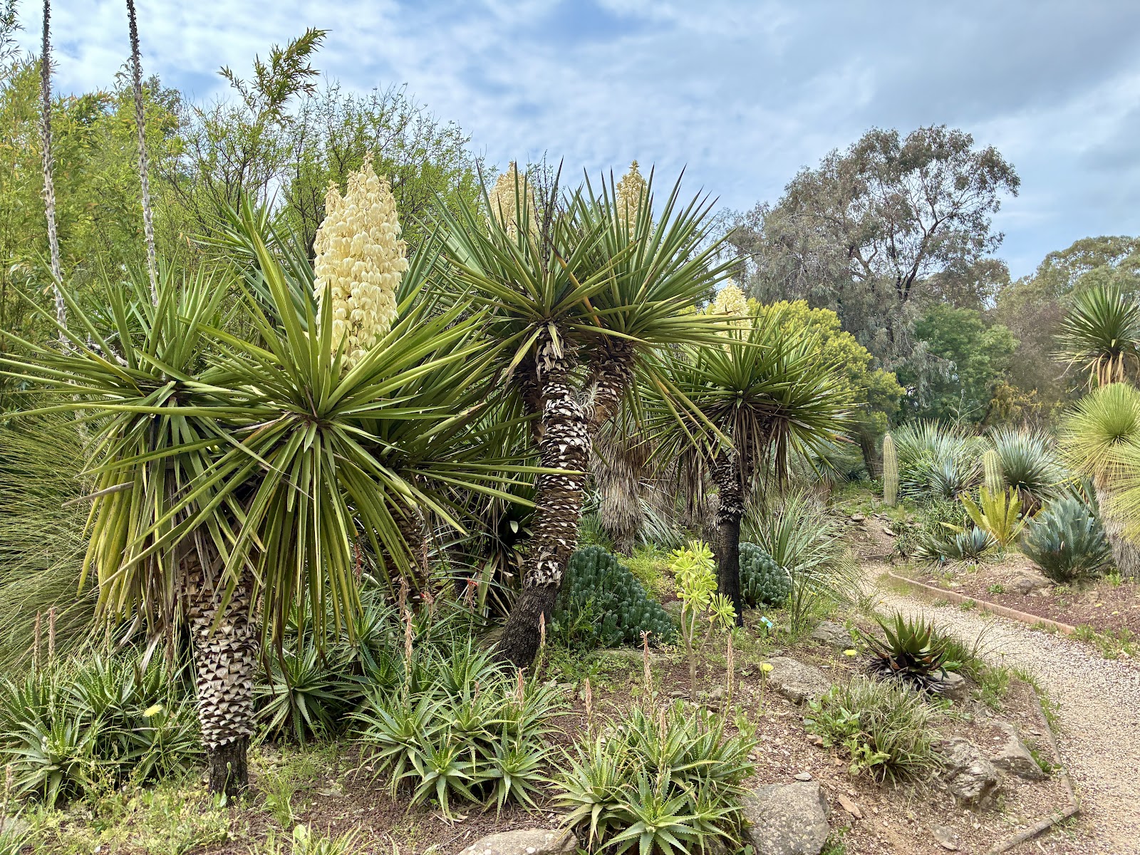Jardin Zoologique Tropical