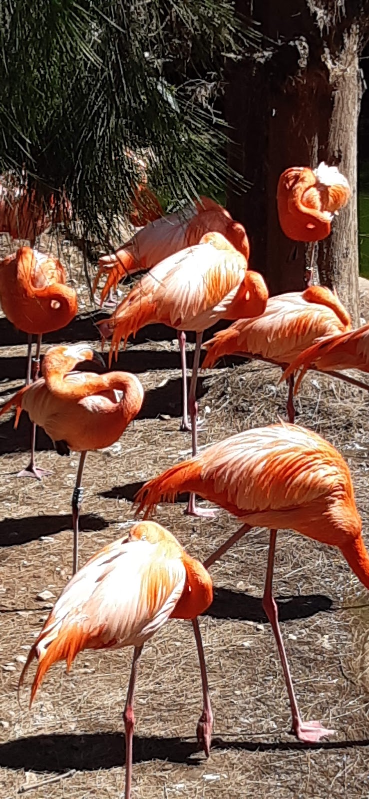 Jardin Zoologique Varois