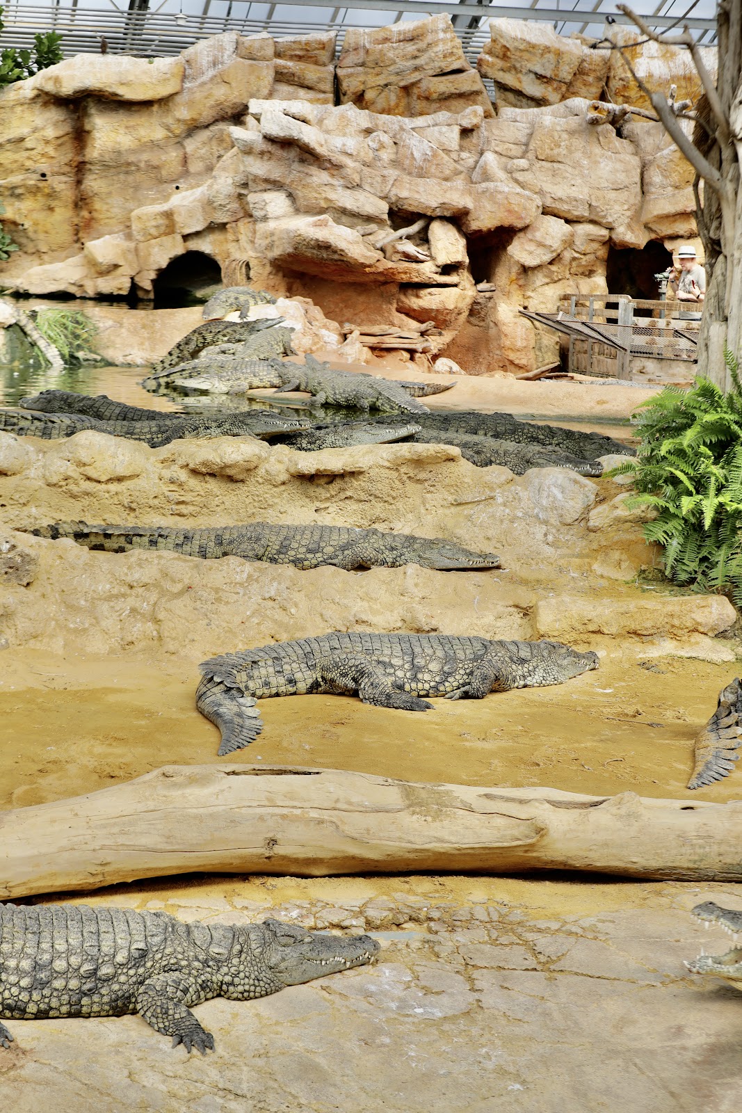 La Ferme aux Crocodiles - Réserve Tropicale