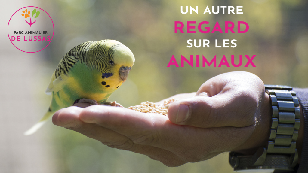 Parc animalier de Lussas