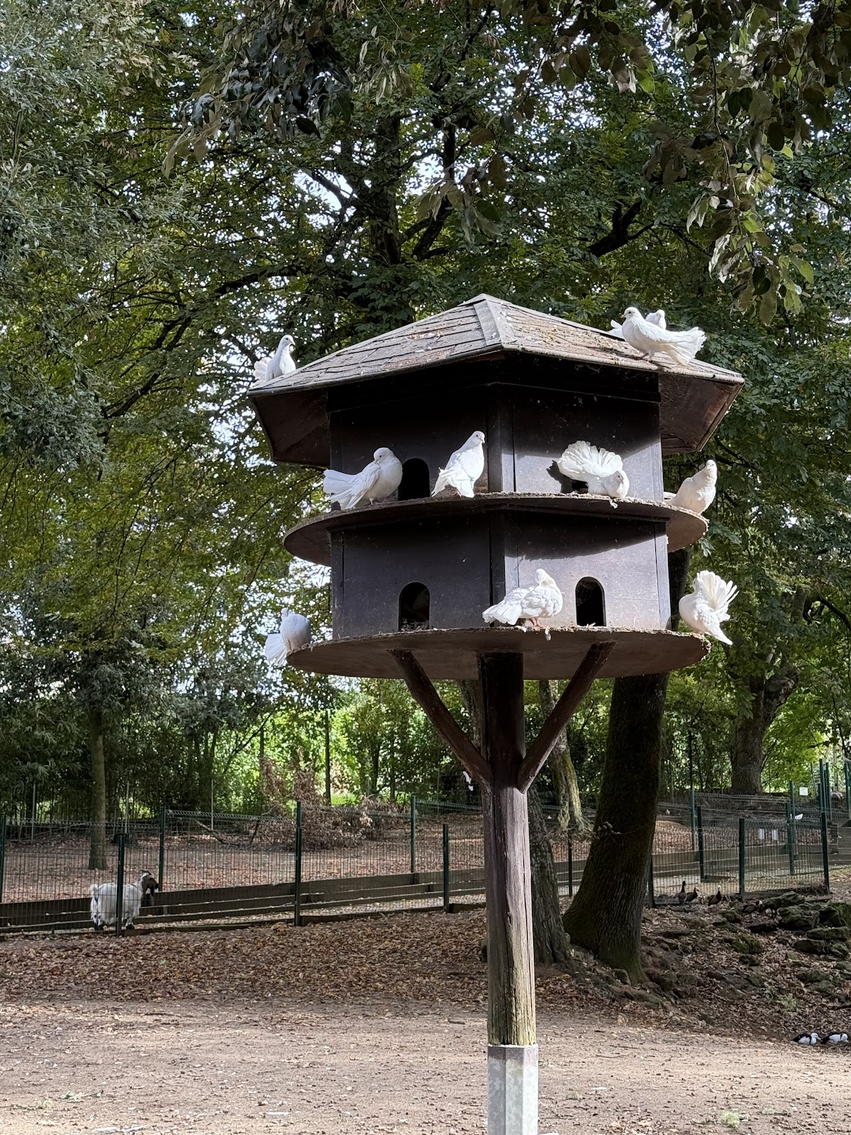 Parc animalier de Nahuques