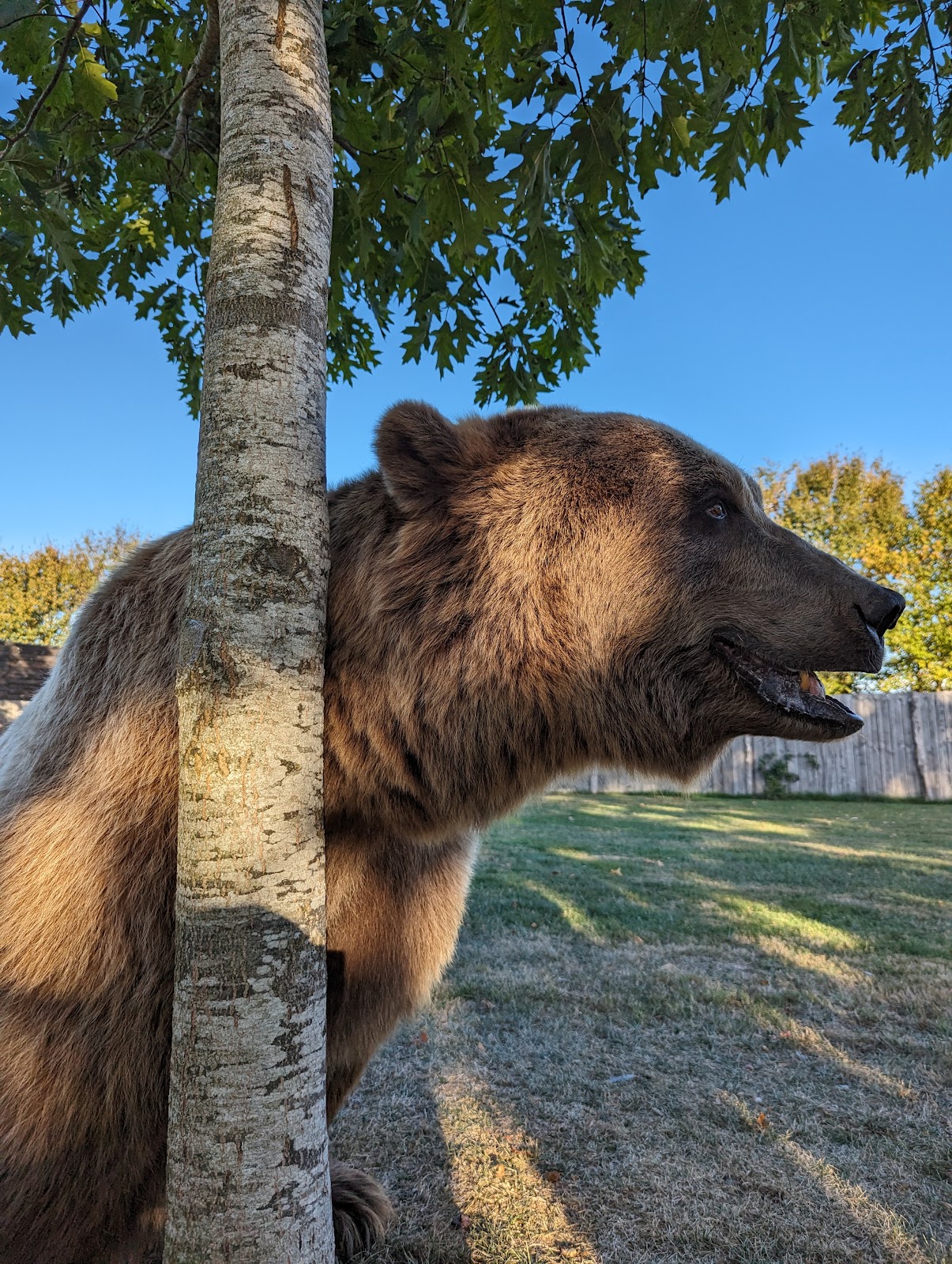 Parc animalier du Ségala