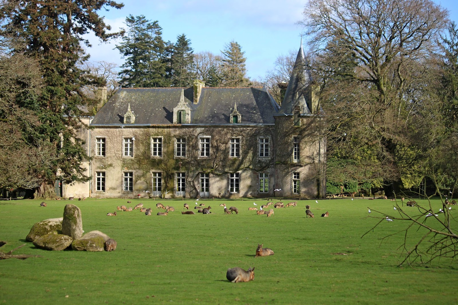 Parc animalier et botanique de Branféré