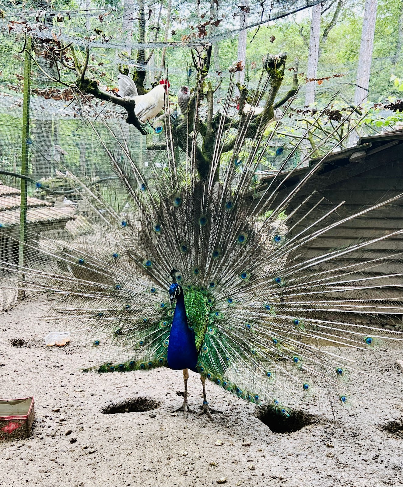 Parc animalier La Bannie