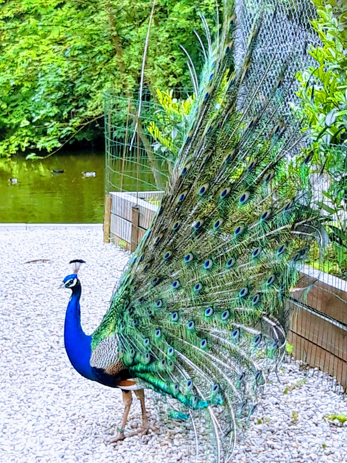 Parc Animalier S.R.P.O