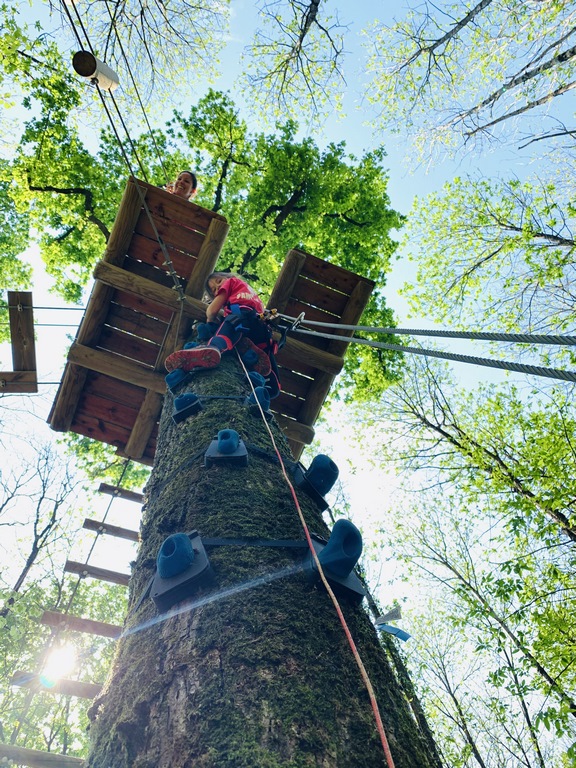 PARC AVENTURE 79 CHANTEMERLE
