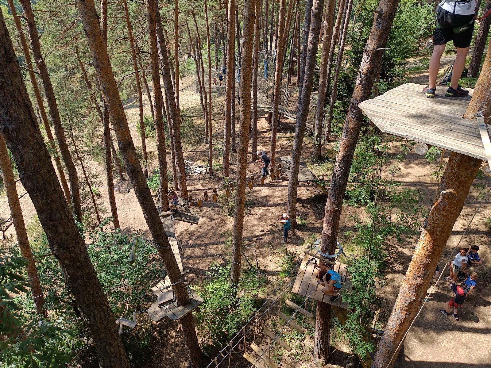 Parc aventure Haute Loire "Canopy en Forêt"
