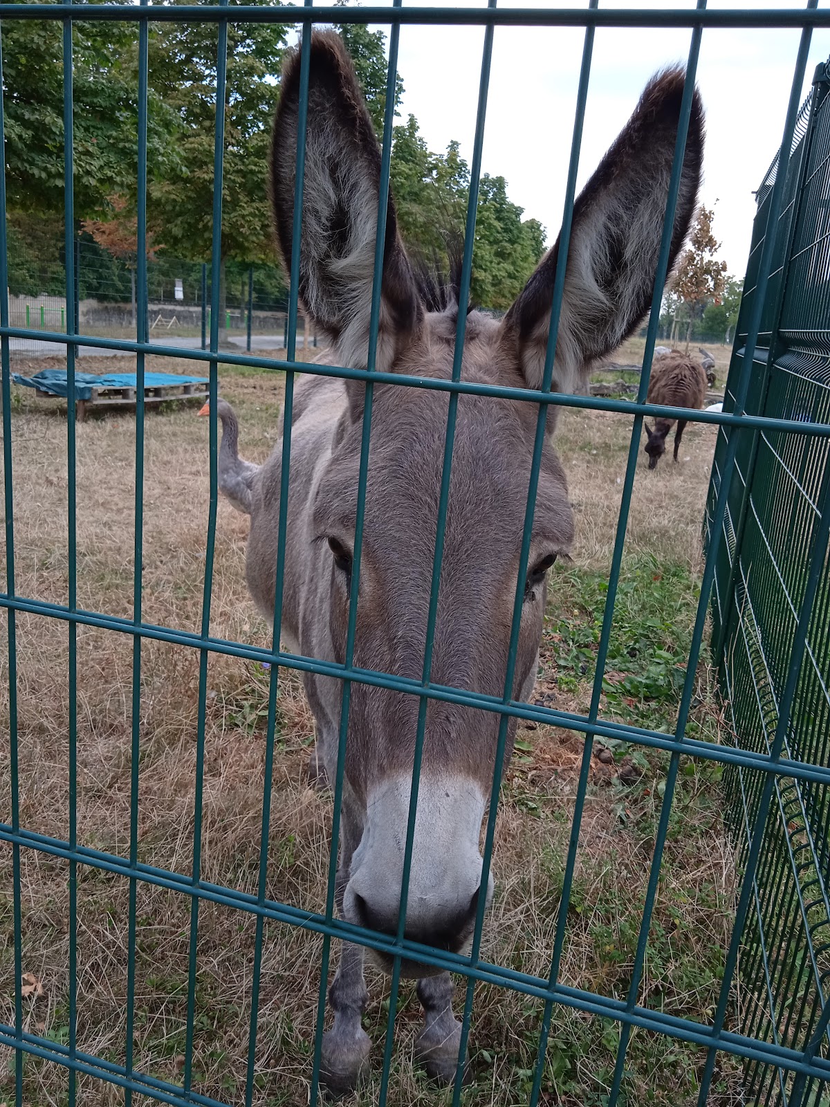 Parc de Joud
