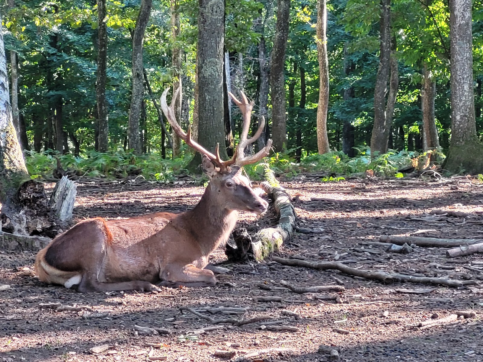 Parc Naturel de Chambaran