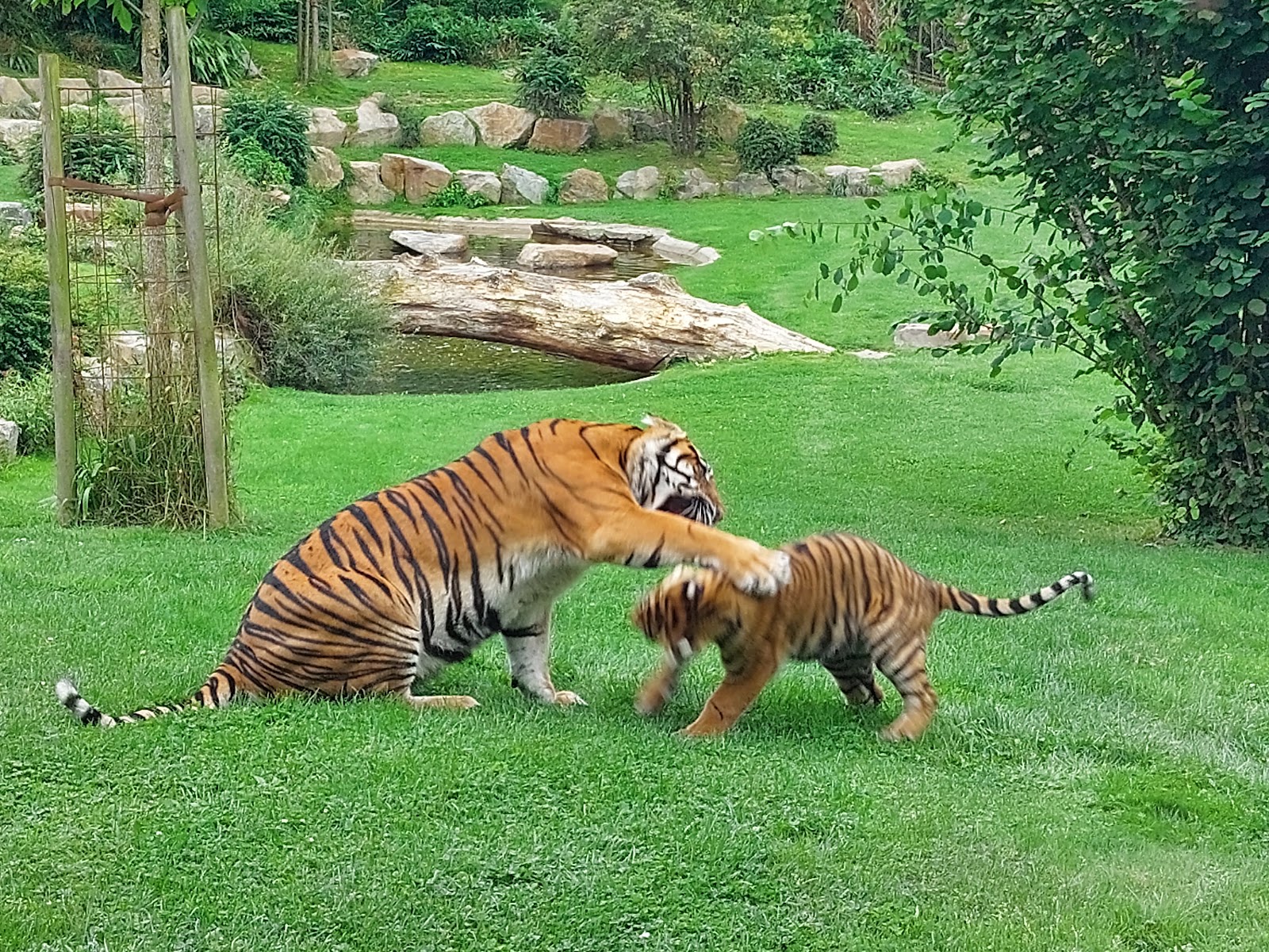 Parc Zoologique de Champrépus