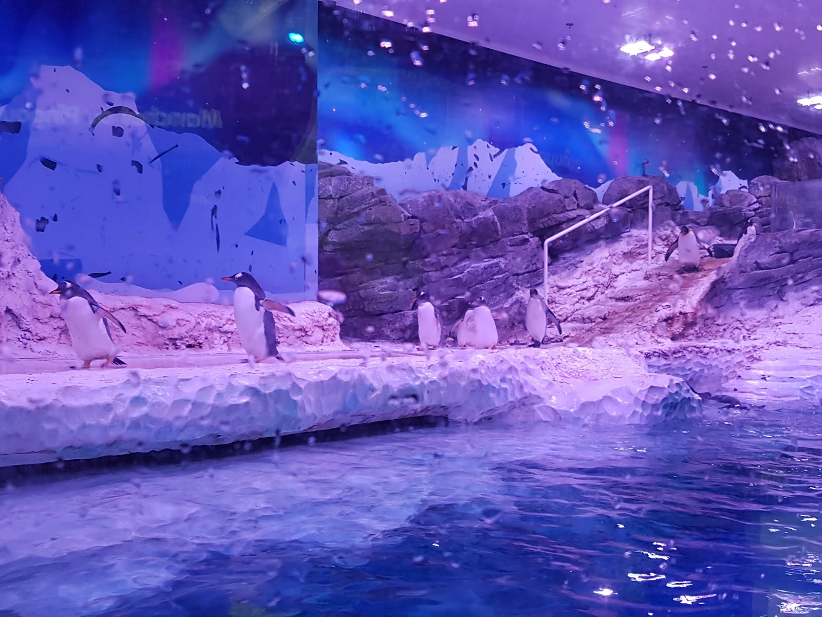 SEA LIFE Val d'Europe