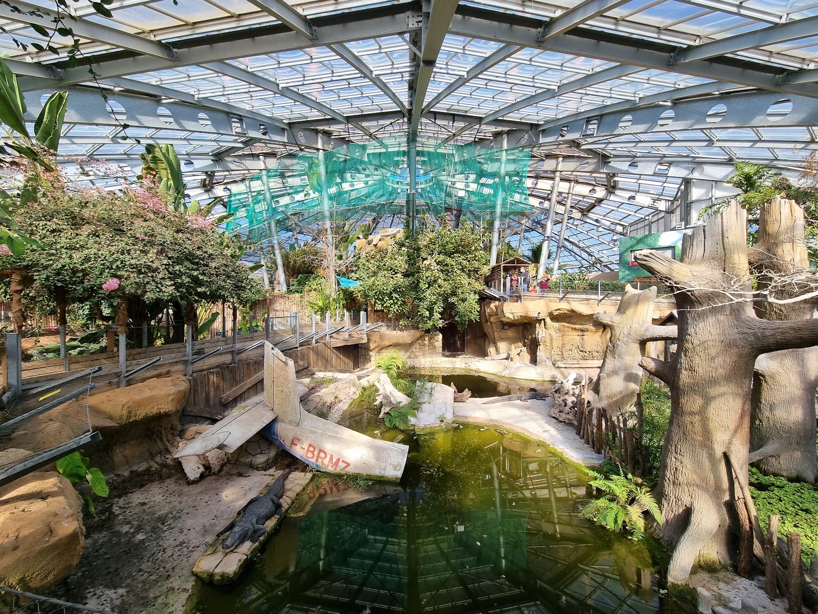 Terre de dragons