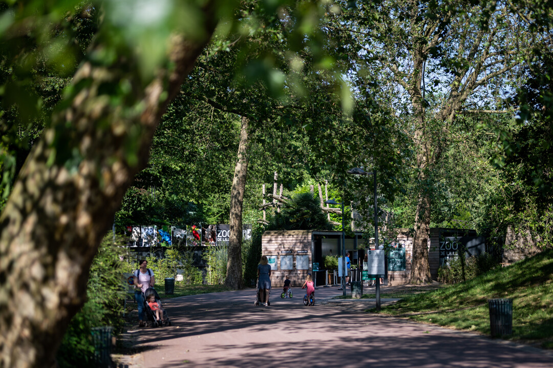 Zoo de Lille