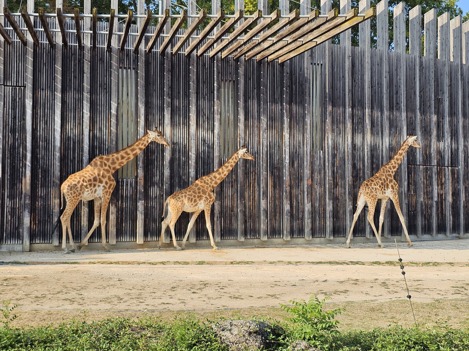 Zoo de Lyon