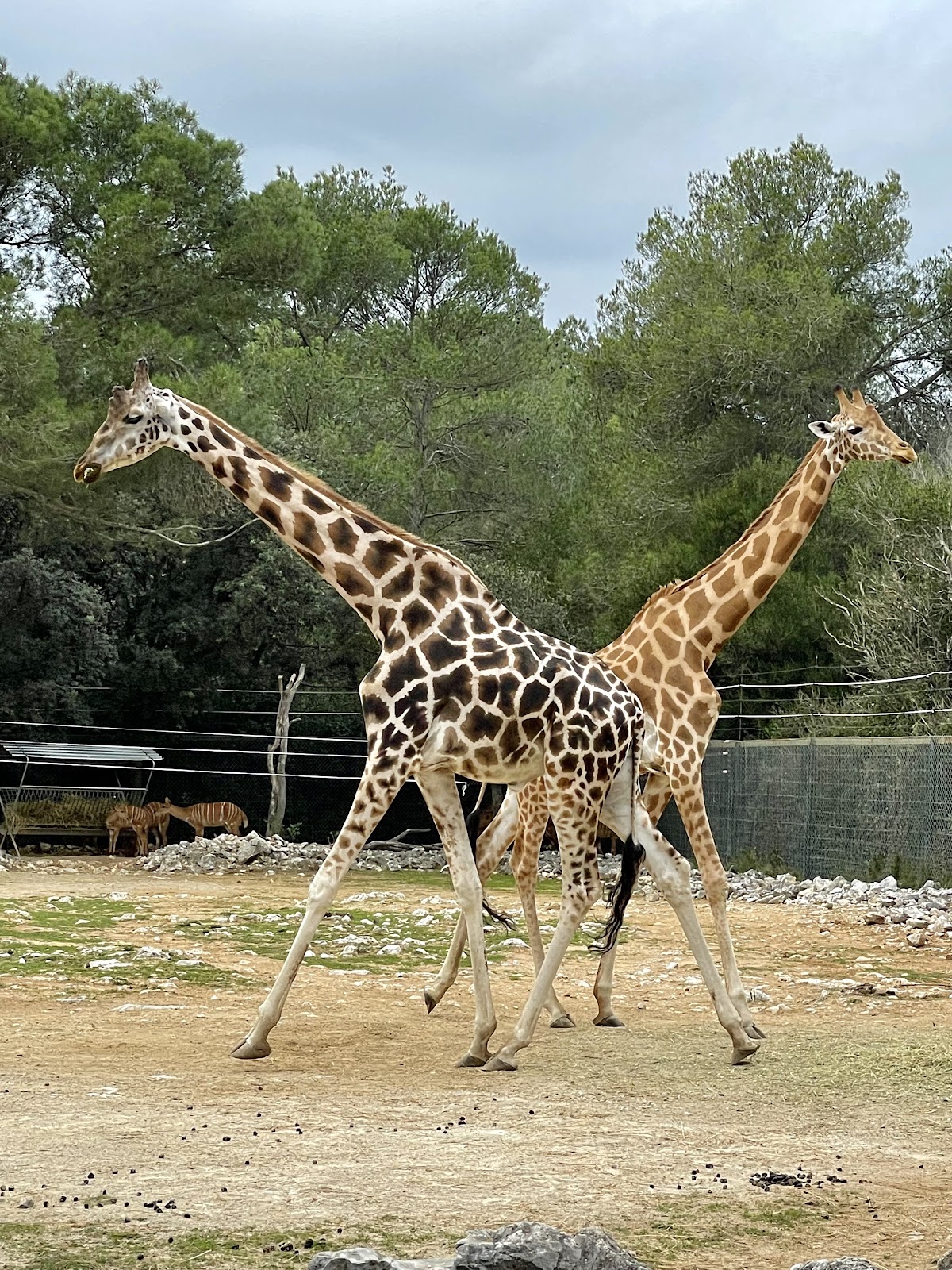 Zoo de Montpellier
