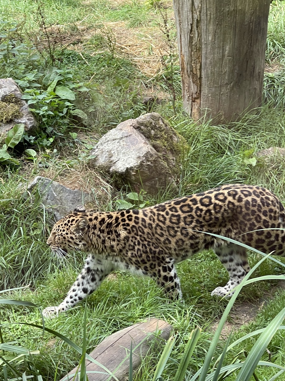 Zoo des Sables d'Olonne
