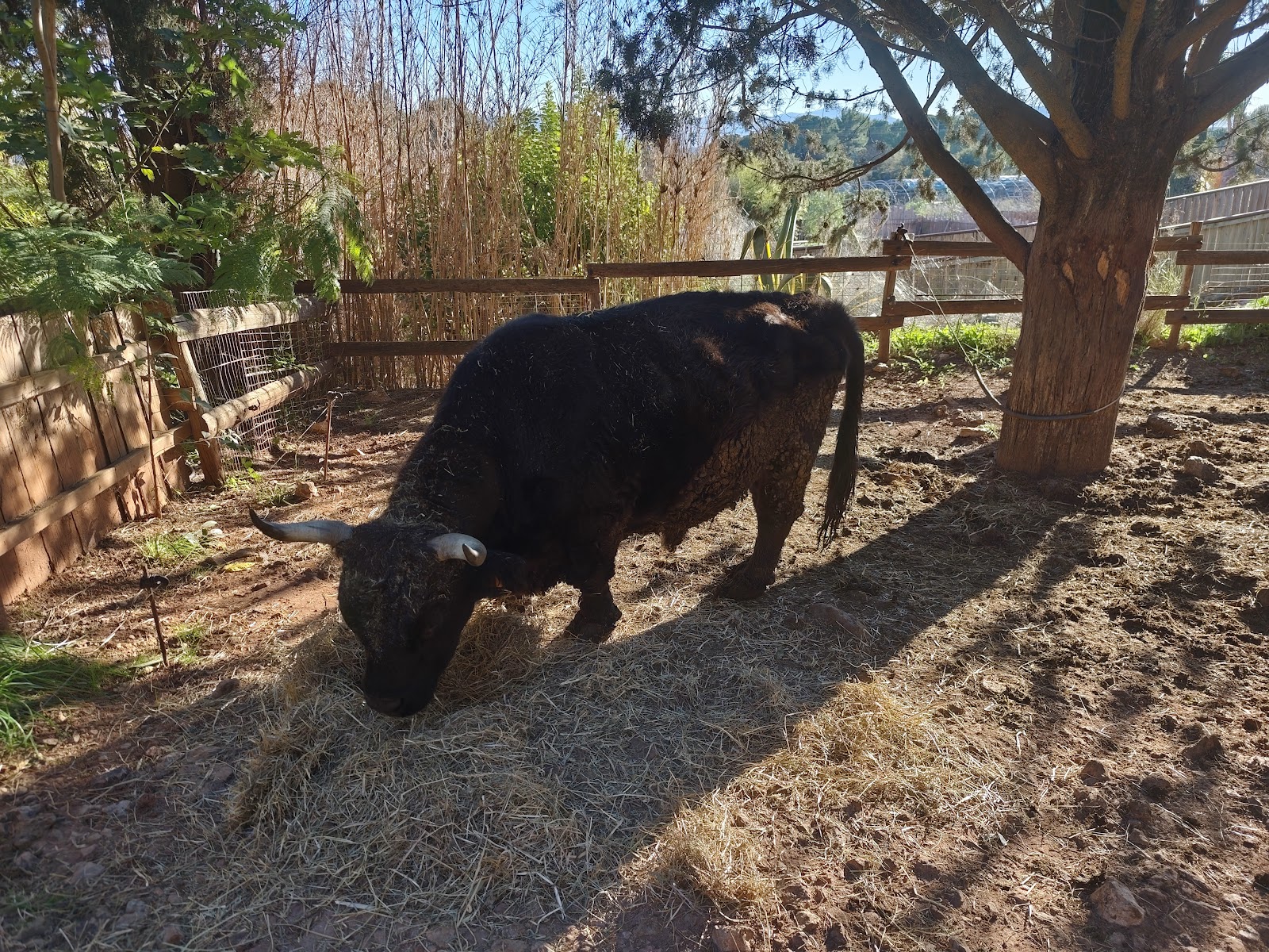 ZooParc Du Cannet Des Maures